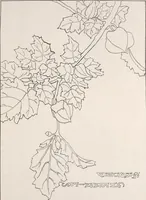 An illustration from Keramic studio (1899)