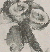 An illustration from Keramic studio (1899)