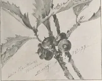 An illustration from Keramic studio (1899)