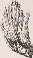An illustration from Keramic studio (1899)