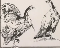 An illustration from Keramic studio (1899)