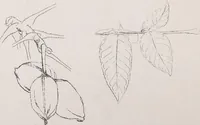 An illustration from Keramic studio (1899)