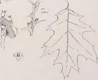 An illustration from Keramic studio (1899)