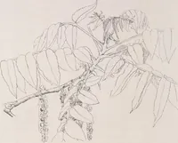 An illustration from Keramic studio (1899)