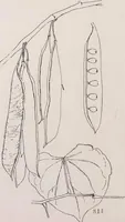 An illustration from Keramic studio (1899)