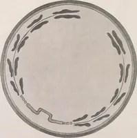 An illustration from Keramic studio (1899)