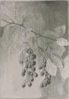 An illustration from Keramic studio (1899)