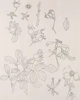 An illustration from Keramic studio (1899)