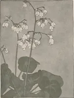 An illustration from Keramic studio (1899)