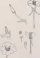 An illustration from Keramic studio (1899)