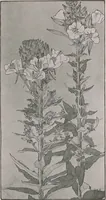 An illustration from Keramic studio (1899)
