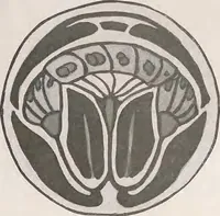 An illustration from Keramic studio (1899)