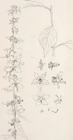 An illustration from Keramic studio (1899)