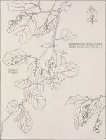An illustration from Keramic studio (1899)