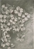 An illustration from Keramic studio (1899)
