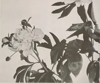 An illustration from Keramic studio (1899)
