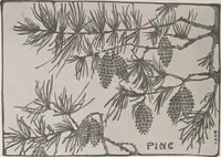An illustration from Keramic studio (1899)