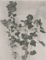 An illustration from Keramic studio (1899)