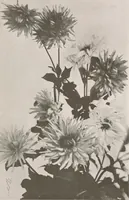 An illustration from Keramic studio (1899)