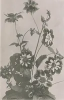 An illustration from Keramic studio (1899)