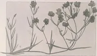 An illustration from Keramic studio (1899)