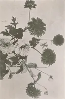 An illustration from Keramic studio (1899)