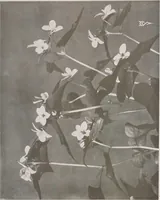 An illustration from Keramic studio (1899)