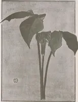 An illustration from Keramic studio (1899)