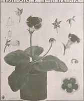 Picture 369 of 495 from Keramic studio (1899), leaf 290