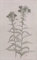 An illustration from Keramic studio (1899)