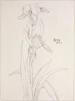 An illustration from Keramic studio (1899)