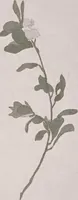 An illustration from Keramic studio (1899)