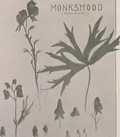 Picture 392 of 495 from Keramic studio (1899), leaf 303