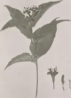 An illustration from Keramic studio (1899)