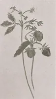 An illustration from Keramic studio (1899)
