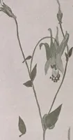 An illustration from Keramic studio (1899)