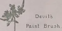 Picture 413 of 495 from Keramic studio (1899), leaf 317