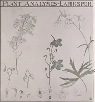 Picture 414 of 495 from Keramic studio (1899), leaf 318