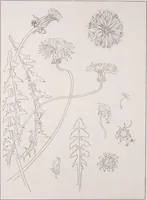 An illustration from Keramic studio (1899)