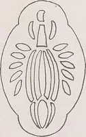Picture 416 of 495 from Keramic studio (1899), leaf 320