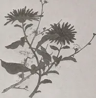 An illustration from Keramic studio (1899)