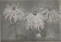 An illustration from Keramic studio (1899)
