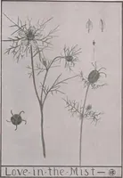 Picture 433 of 495 from Keramic studio (1899), leaf 327