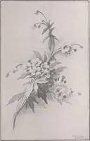 An illustration from Keramic studio (1899)