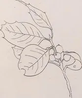 An illustration from Keramic studio (1899)