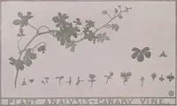 Picture 450 of 495 from Keramic studio (1899), leaf 339
