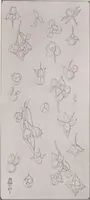 Picture 459 of 495 from Keramic studio (1899), leaf 355