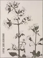 Picture 471 of 495 from Keramic studio (1899), leaf 363