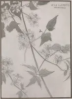 An illustration from Keramic studio (1899)