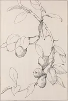 An illustration from Keramic studio (1899)